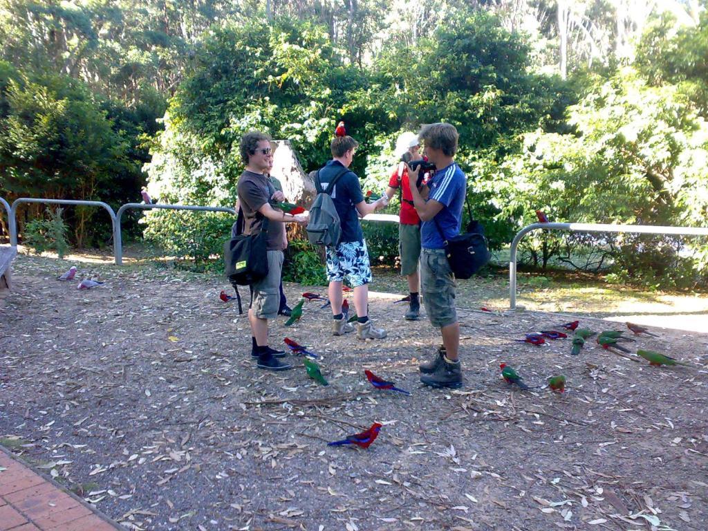 Batemans Bay Holiday Park & Hostel 외부 사진